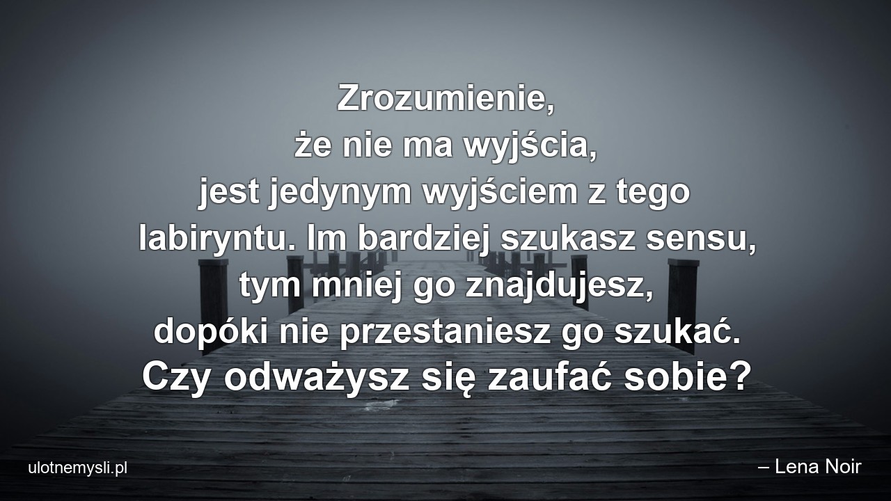 Zrozumienie,  że nie ma wyjścia,  jest jedynym wyjściem z tego labiryntu. Im bardziej szukasz sensu,  tym mniej go znajdujesz,  dopóki nie przestaniesz go szukać. Czy odważysz się zaufać sobie? - – Lena Noir