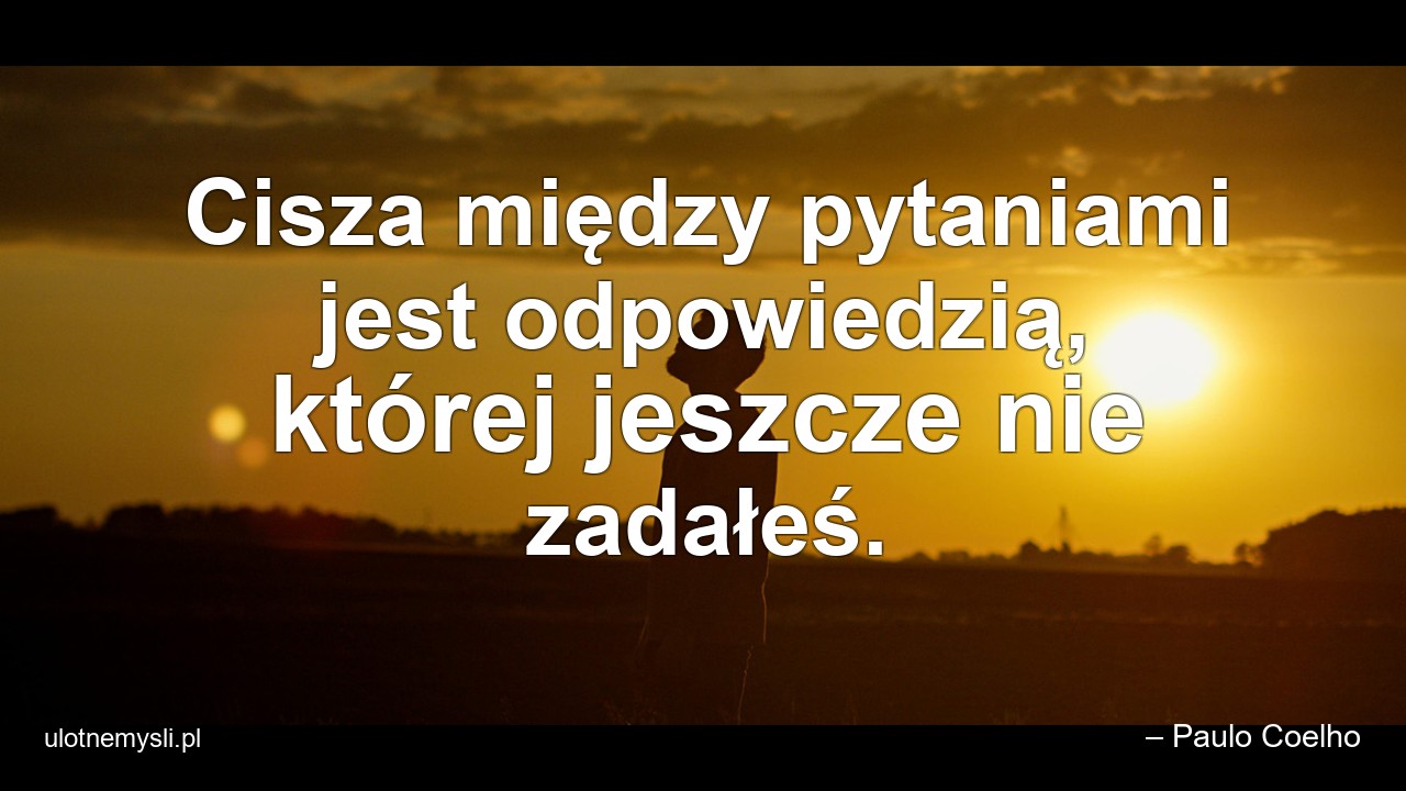 Cisza między pytaniami jest odpowiedzią,  której jeszcze nie zadałeś.