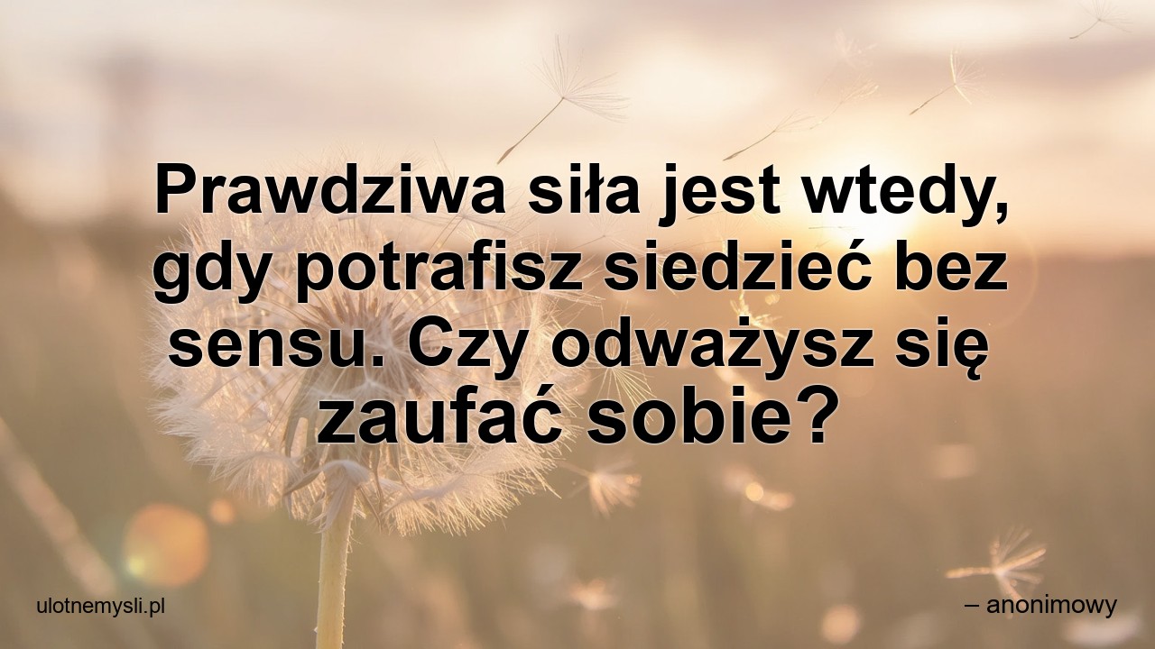 Prawdziwa siła jest wtedy,  gdy potrafisz siedzieć bez sensu. Czy odważysz się zaufać sobie?