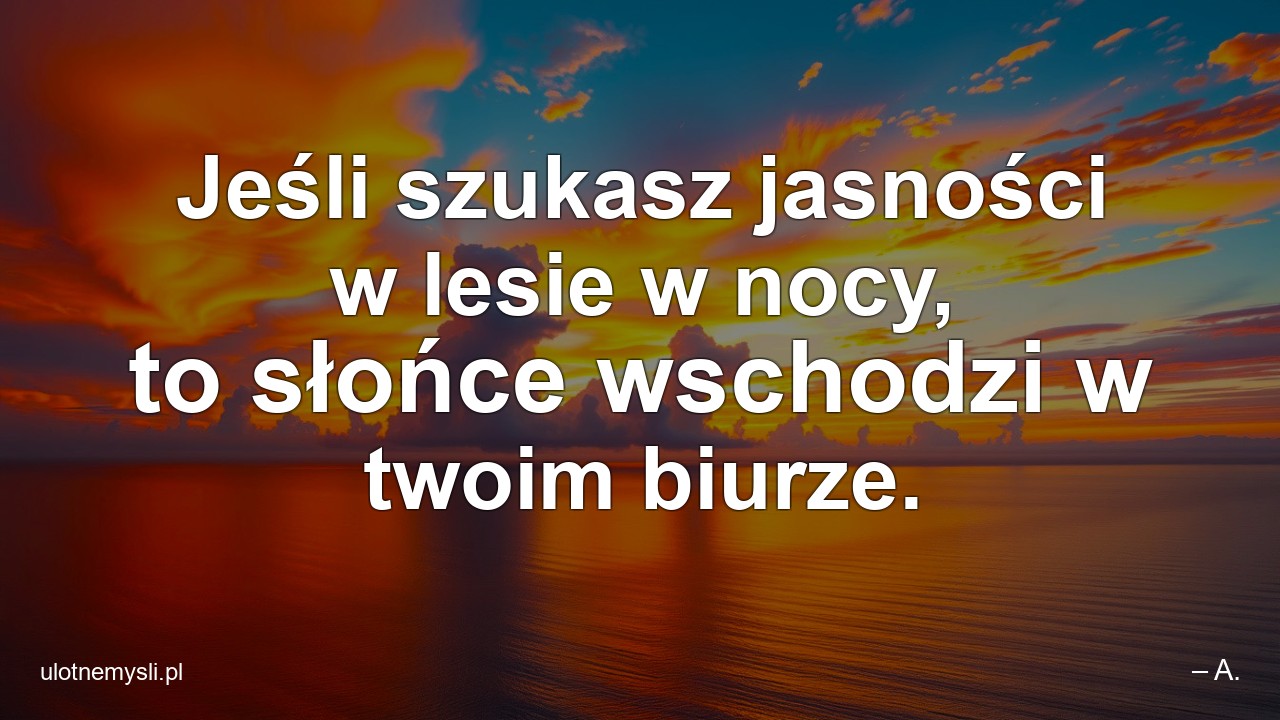 Jeśli szukasz jasności w lesie w nocy,  to słońce wschodzi w twoim biurze.