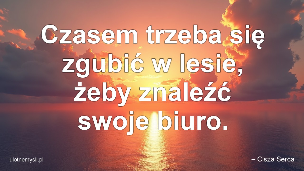 Czasem trzeba się zgubić w lesie,  żeby znaleźć swoje biuro.
