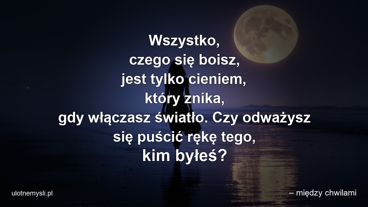 Wszystko,  czego się boisz,  jest tylko cieniem,  który znika,  gdy włączasz światło. Czy odważysz się puścić rękę tego,  kim byłeś?