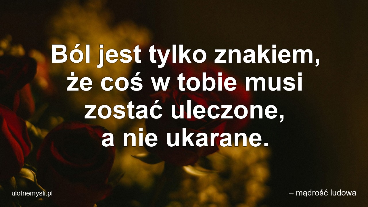 Ból jest tylko znakiem,  że coś w tobie musi zostać uleczone,  a nie ukarane.
