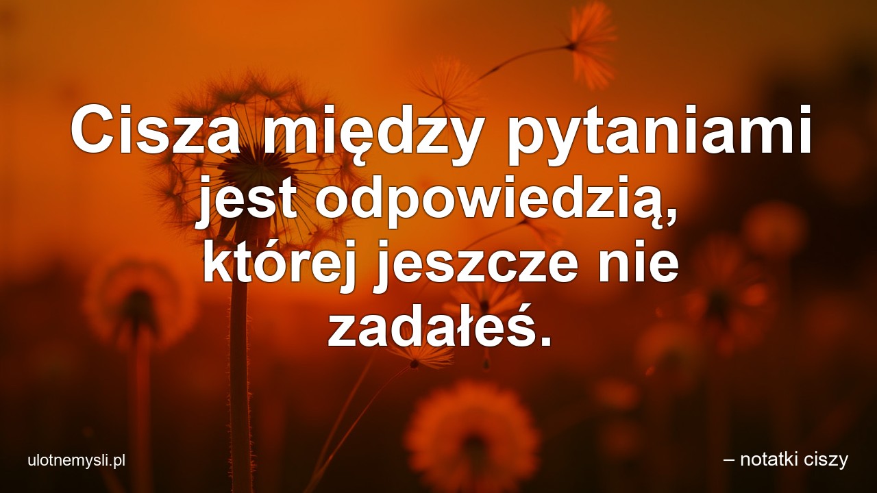 Cisza między pytaniami jest odpowiedzią,  której jeszcze nie zadałeś.