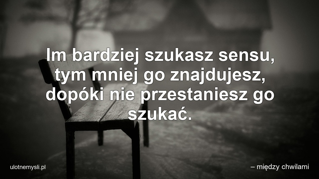 Im bardziej szukasz sensu,  tym mniej go znajdujesz,  dopóki nie przestaniesz go szukać.
