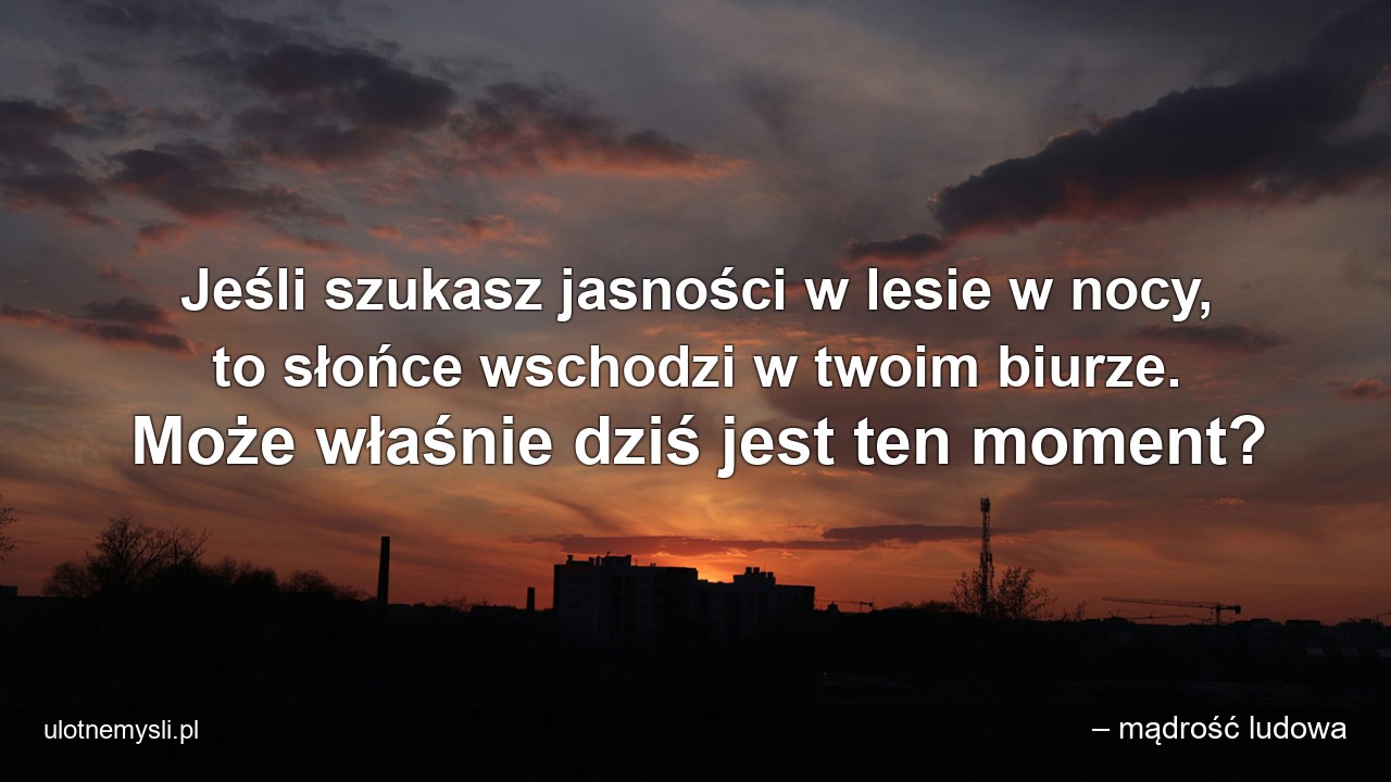 Jeśli szukasz jasności w lesie w nocy,  to słońce wschodzi w twoim biurze. Może właśnie dziś jest ten moment?