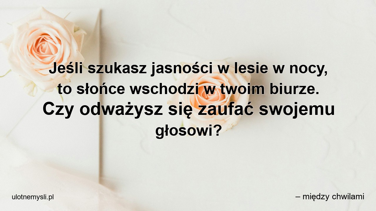 Jeśli szukasz jasności w lesie w nocy,  to słońce wschodzi w twoim biurze. Czy odważysz się zaufać swojemu głosowi?