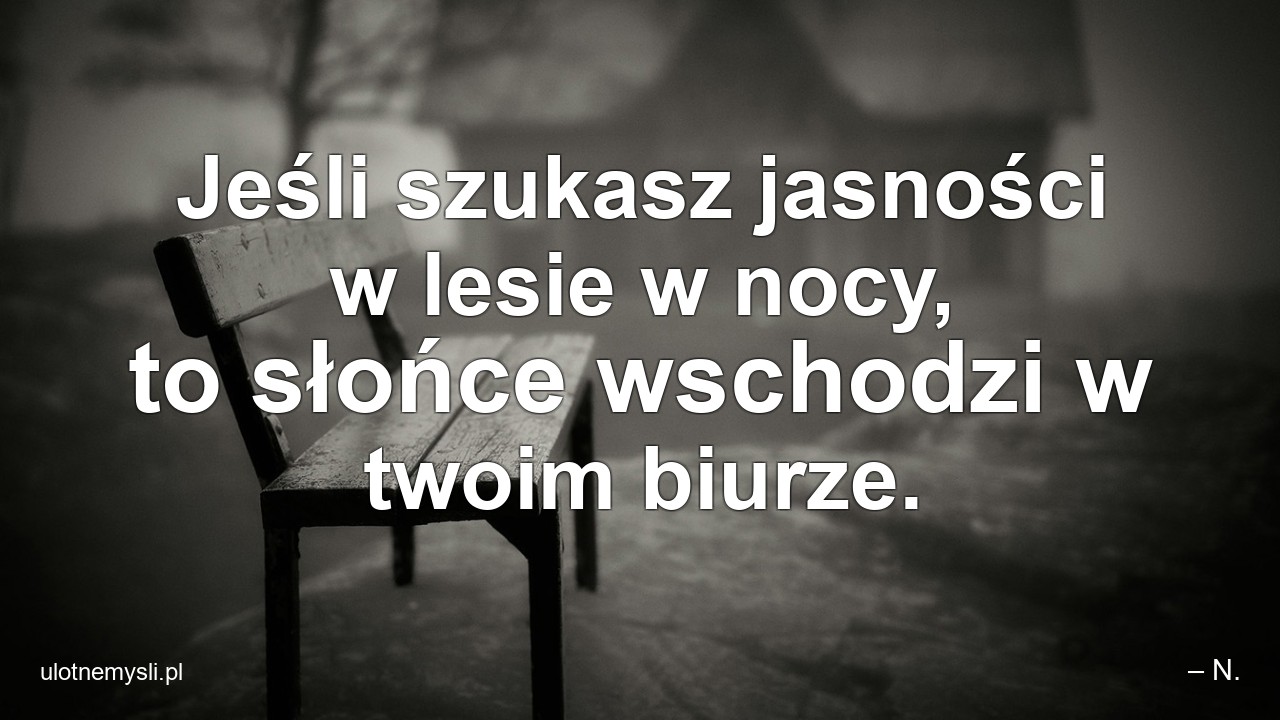 Jeśli szukasz jasności w lesie w nocy,  to słońce wschodzi w twoim biurze.