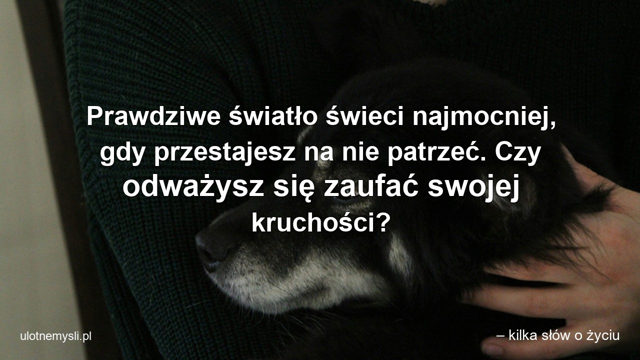 Prawdziwe światło świeci najmocniej,  gdy przestajesz na nie patrzeć. Czy odważysz się zaufać swojej kruchości?
