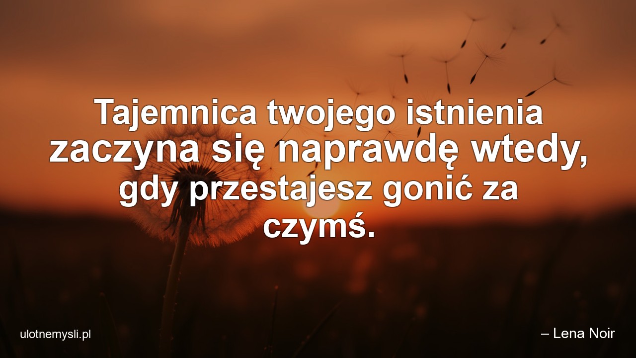 Tajemnica twojego istnienia zaczyna się naprawdę wtedy,  gdy przestajesz gonić za czymś.