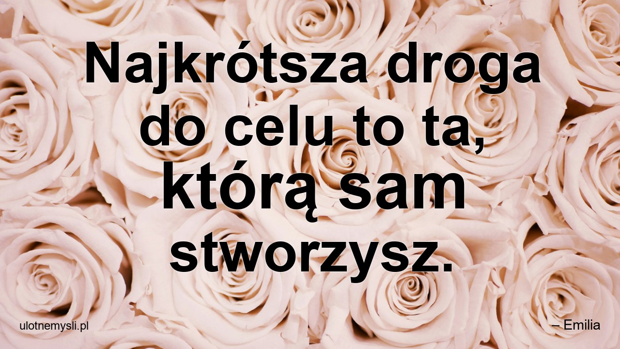 Najkrótsza droga do celu to ta,  którą sam stworzysz.