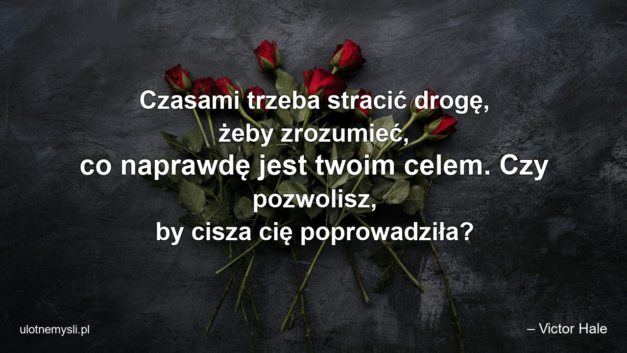 Czasami trzeba stracić drogę,  żeby zrozumieć,  co naprawdę jest twoim celem. Czy pozwolisz,  by cisza cię poprowadziła?