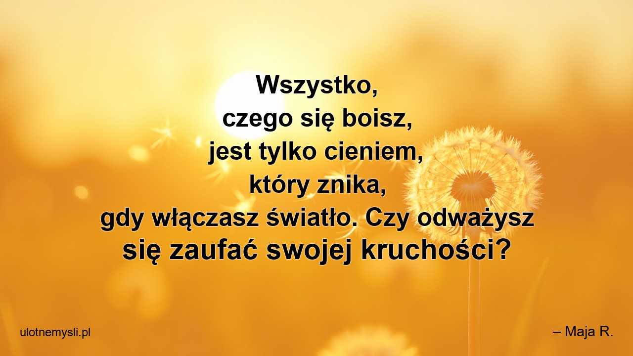 Wszystko,  czego się boisz,  jest tylko cieniem,  który znika,  gdy włączasz światło. Czy odważysz się zaufać swojej kruchości?