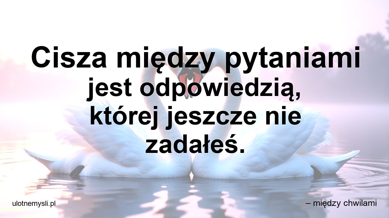 Cisza między pytaniami jest odpowiedzią,  której jeszcze nie zadałeś.