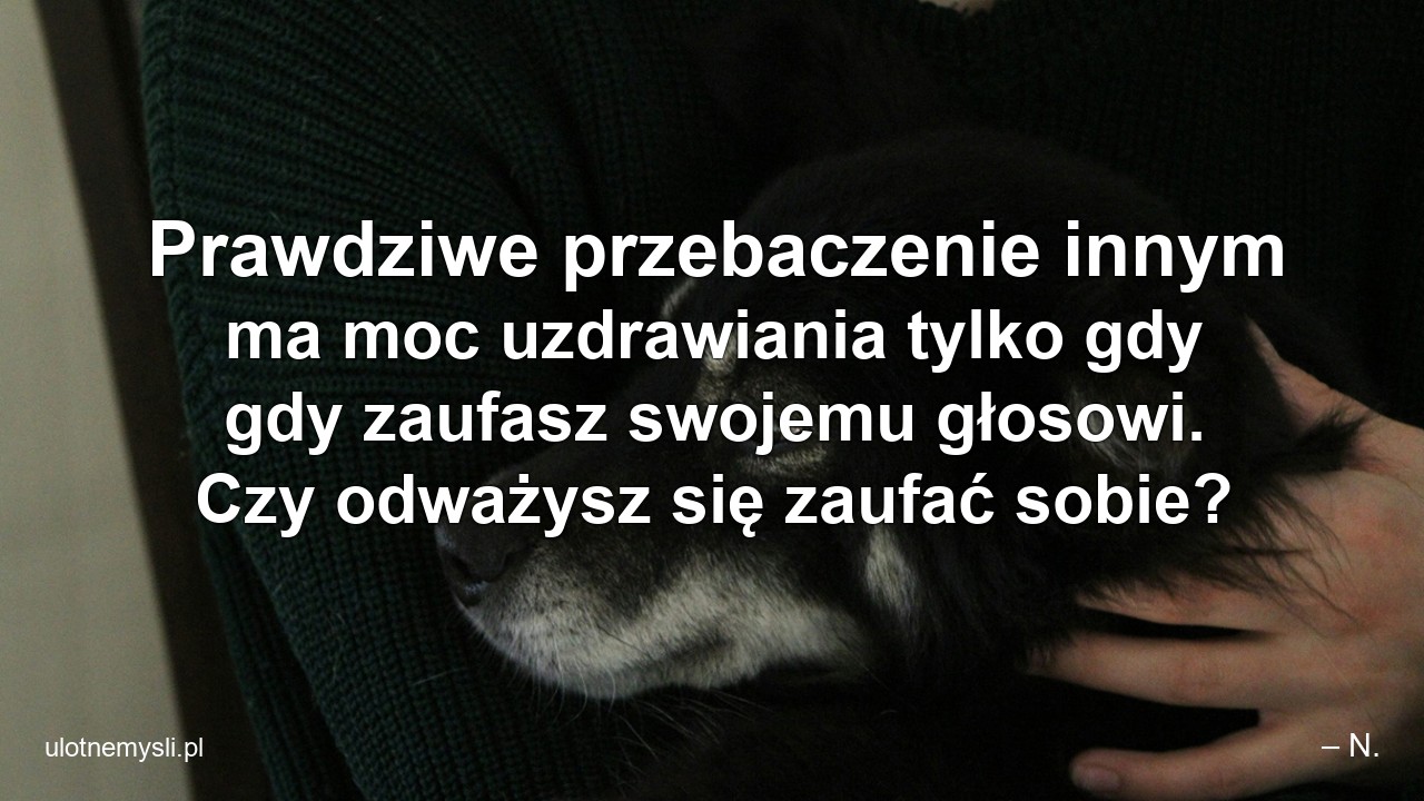 Prawdziwe przebaczenie innym ma moc uzdrawiania tylko gdy gdy zaufasz swojemu głosowi. Czy odważysz się zaufać sobie?