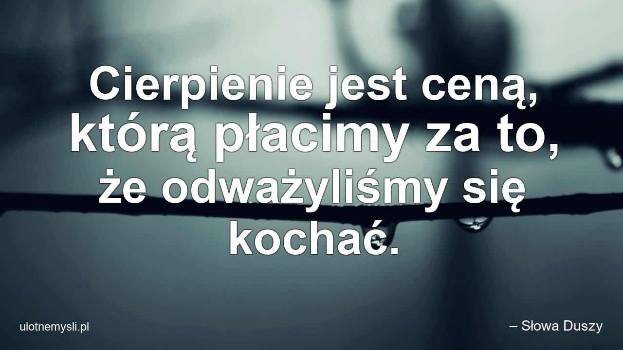 Cierpienie jest ceną,  którą płacimy za to,  że odważyliśmy się kochać.