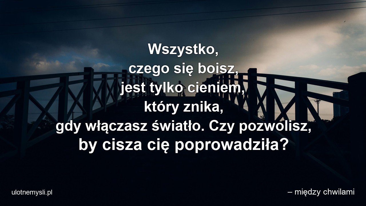Wszystko,  czego się boisz,  jest tylko cieniem,  który znika,  gdy włączasz światło. Czy pozwolisz,  by cisza cię poprowadziła?
