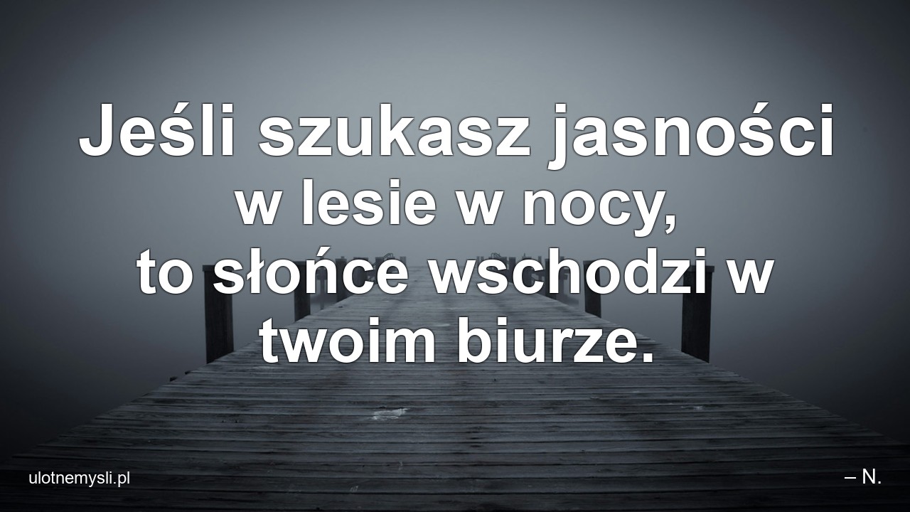Jeśli szukasz jasności w lesie w nocy,  to słońce wschodzi w twoim biurze.