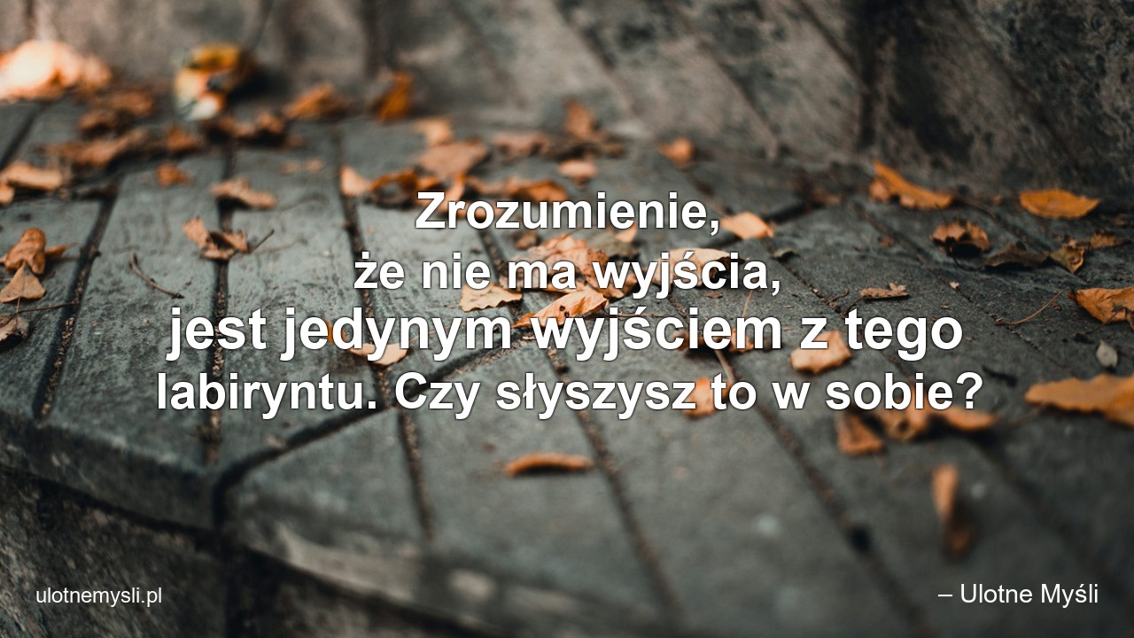 Zrozumienie,  że nie ma wyjścia,  jest jedynym wyjściem z tego labiryntu. Czy słyszysz to w sobie?
