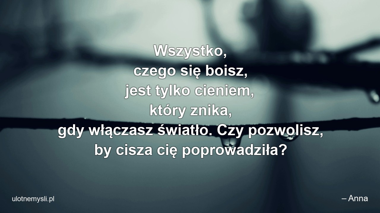 Wszystko,  czego się boisz,  jest tylko cieniem,  który znika,  gdy włączasz światło. Czy pozwolisz,  by cisza cię poprowadziła?