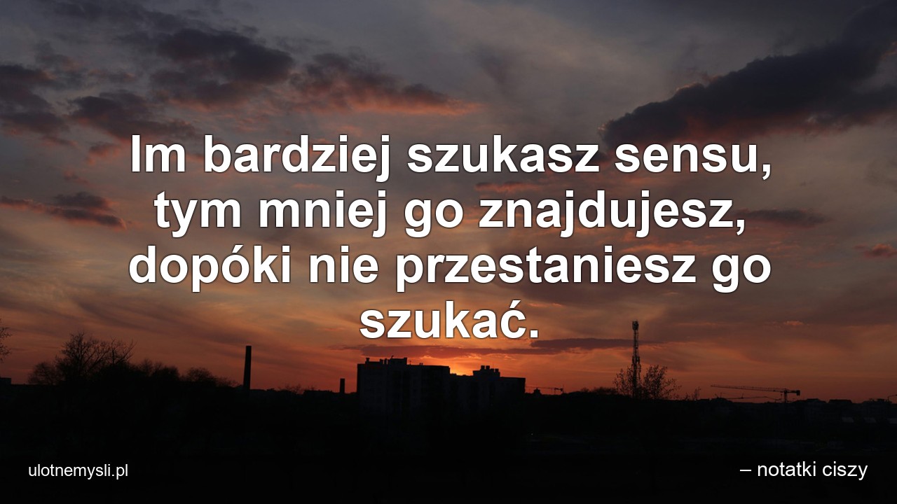 Im bardziej szukasz sensu,  tym mniej go znajdujesz,  dopóki nie przestaniesz go szukać.