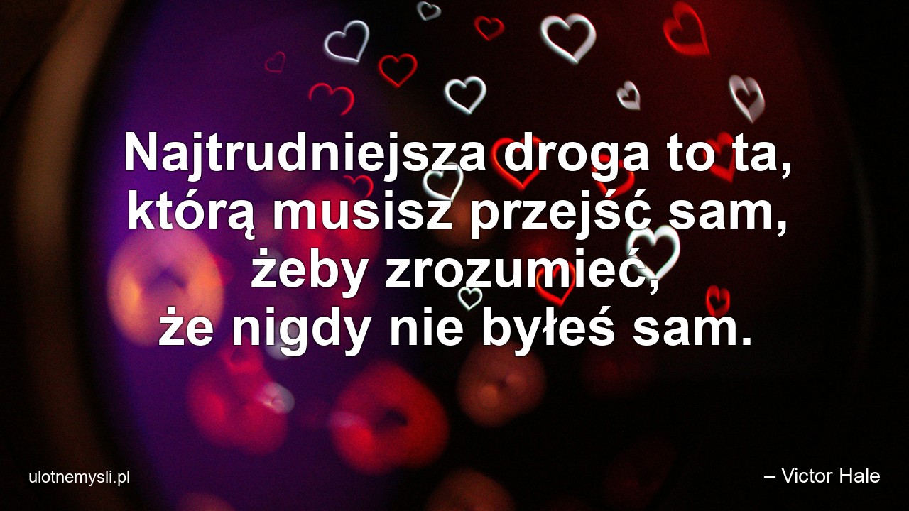 Najtrudniejsza droga to ta,  którą musisz przejść sam,  żeby zrozumieć,  że nigdy nie byłeś sam.