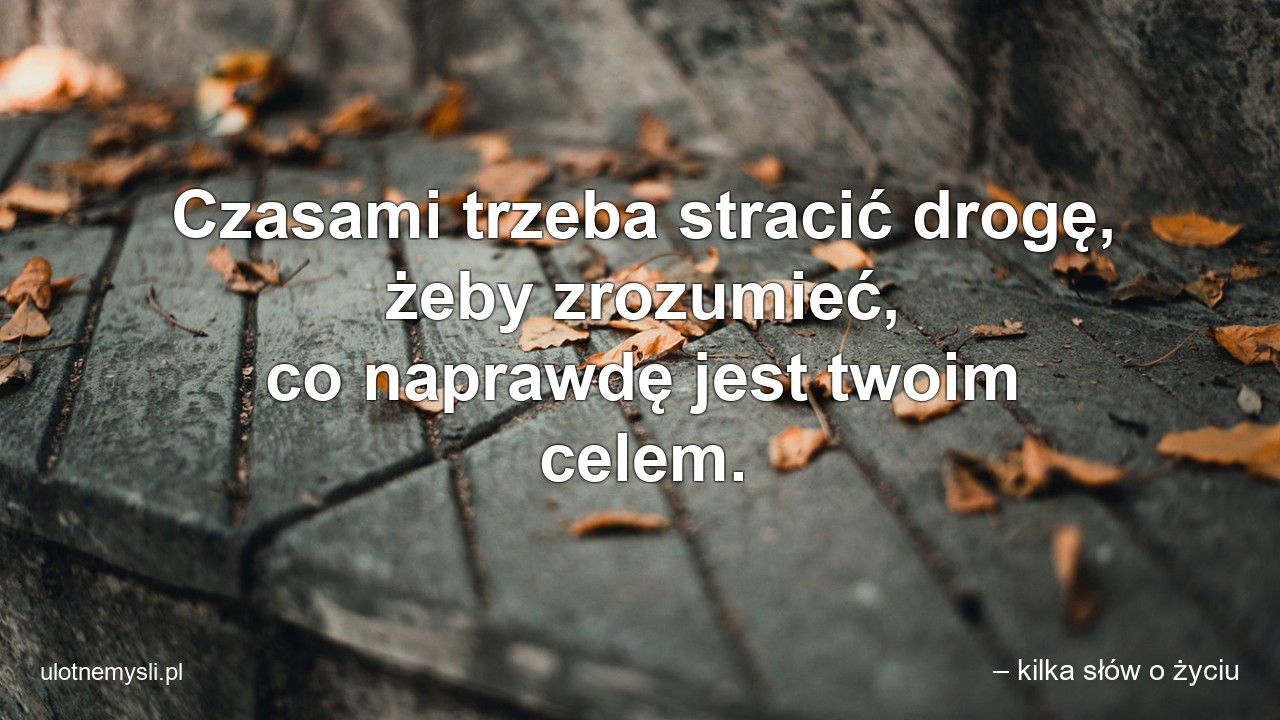 Czasami trzeba stracić drogę,  żeby zrozumieć,  co naprawdę jest twoim celem.