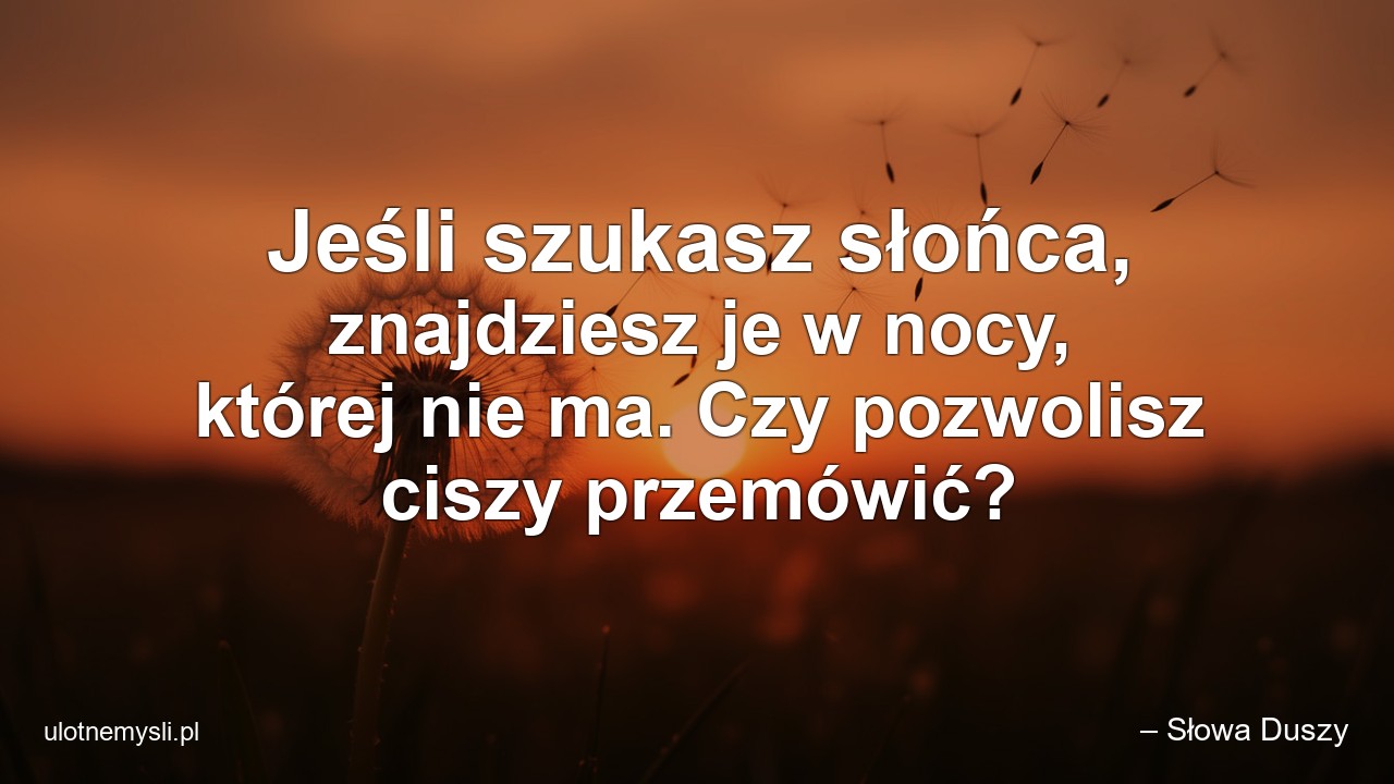 Jeśli szukasz słońca,  znajdziesz je w nocy,  której nie ma. Czy pozwolisz ciszy przemówić?