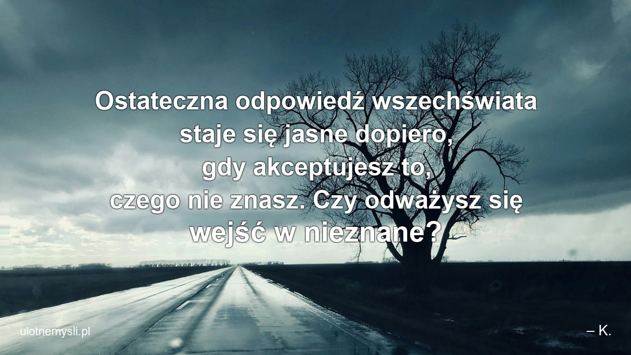 Ostateczna odpowiedź wszechświata staje się jasne dopiero,  gdy akceptujesz to,  czego nie znasz. Czy odważysz się wejść w nieznane?
